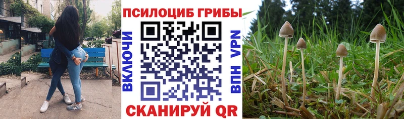 Псилоцибиновые грибы мицелий  Чебаркуль 