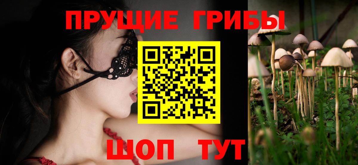 Галлюциногенные грибы GOLDEN TEACHER  Вход с VPN  Чебаркуль 